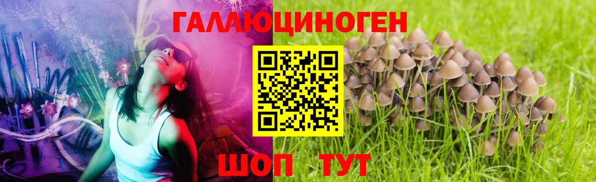 Галлюциногенные грибы мухоморы Иваново